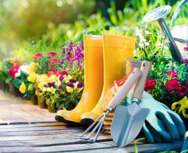 gardening tools