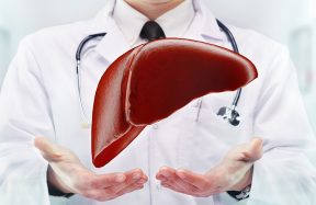healthy liver