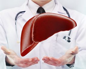 healthy liver