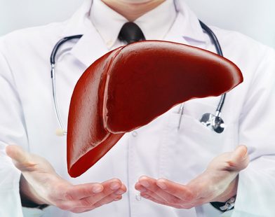 healthy liver