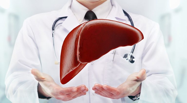healthy liver