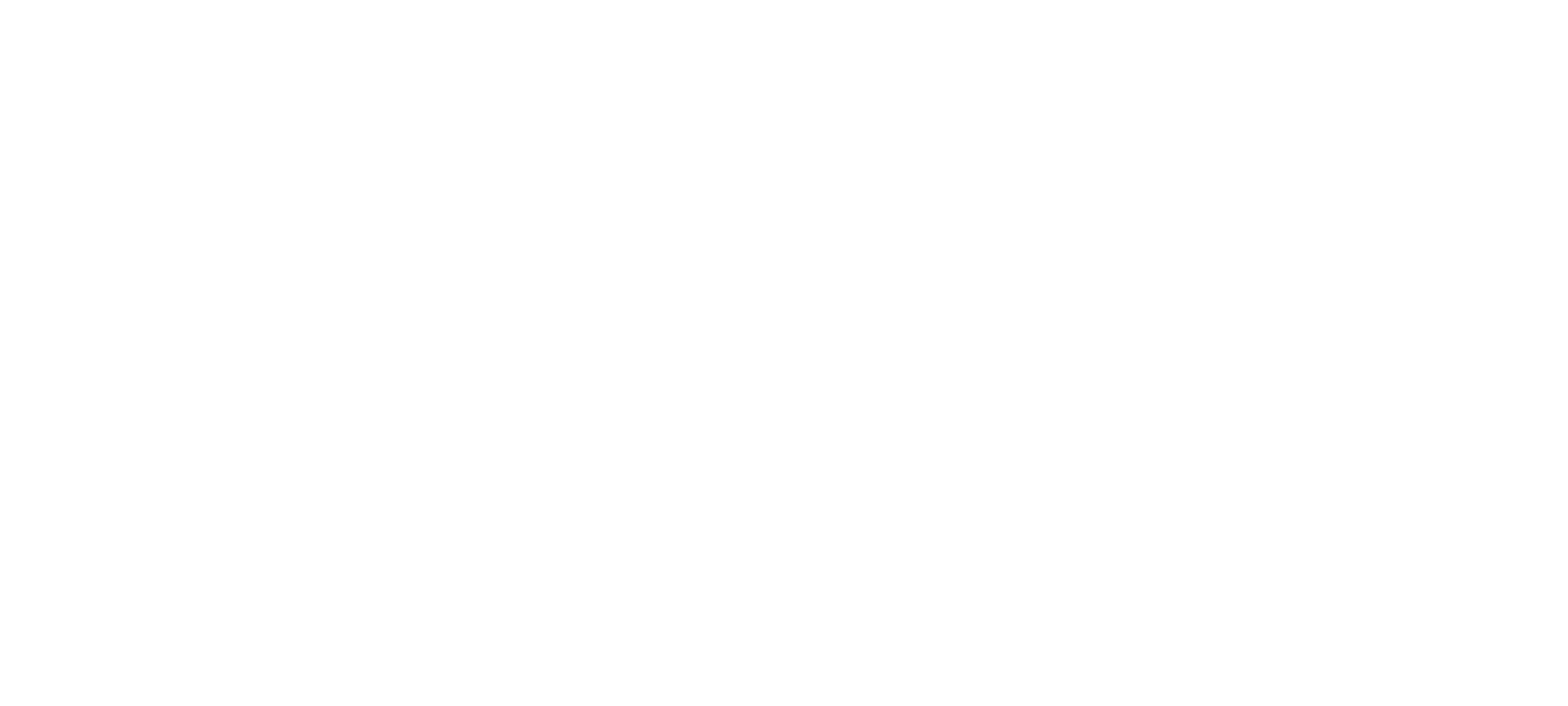 theme-sticky-logo-alt